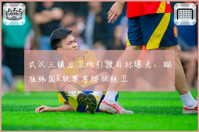 武汉三镇后卫线引援目标曝光，瞄准韩国K联赛兽腰级铁卫