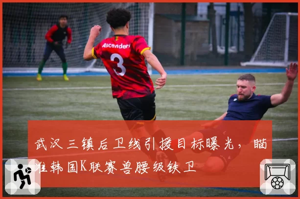 武汉三镇后卫线引援目标曝光，瞄准韩国K联赛兽腰级铁卫