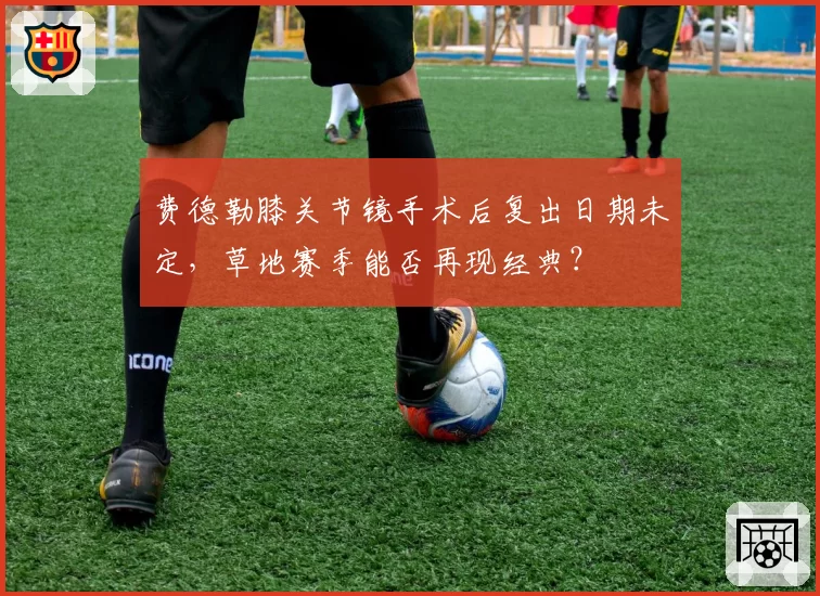 费德勒膝关节镜手术后复出日期未定,草地赛季能否再现经典?