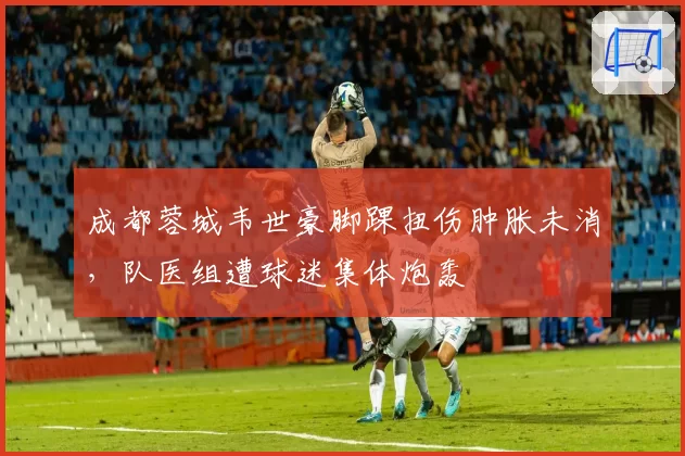 成都蓉城韦世豪脚踝扭伤肿胀未消,队医组遭球迷集体炮轰
