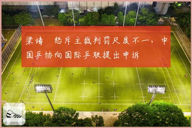 梁靖崑怒斥主裁判罚尺度不一,中国乒协向国际乒联提出申诉